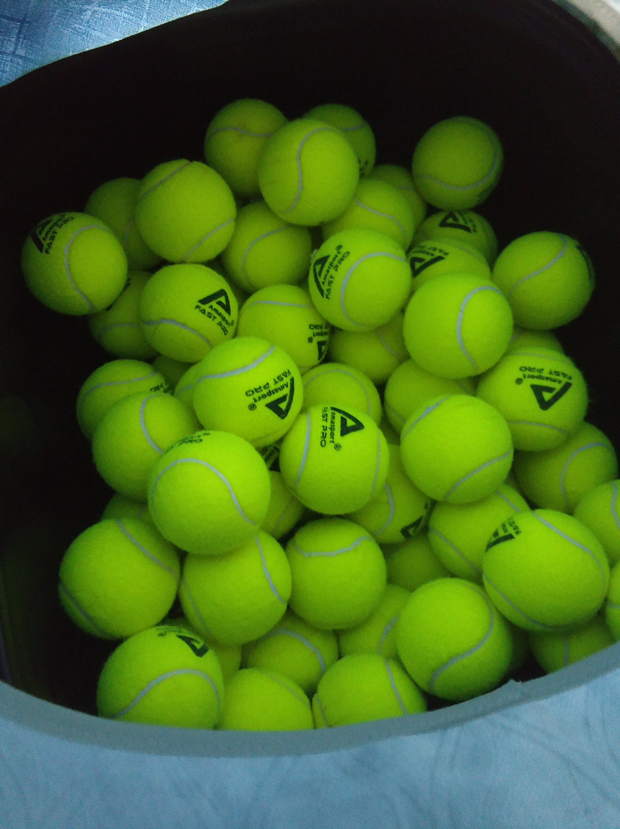 超整体的生 超整体的生