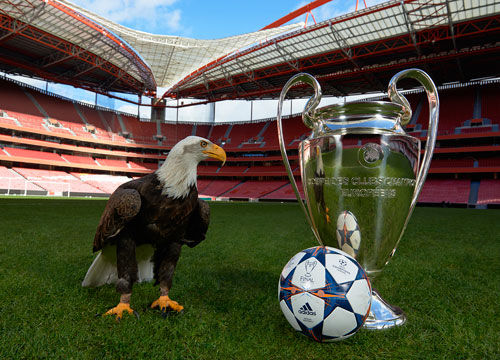 话不仅关系 话不仅关系