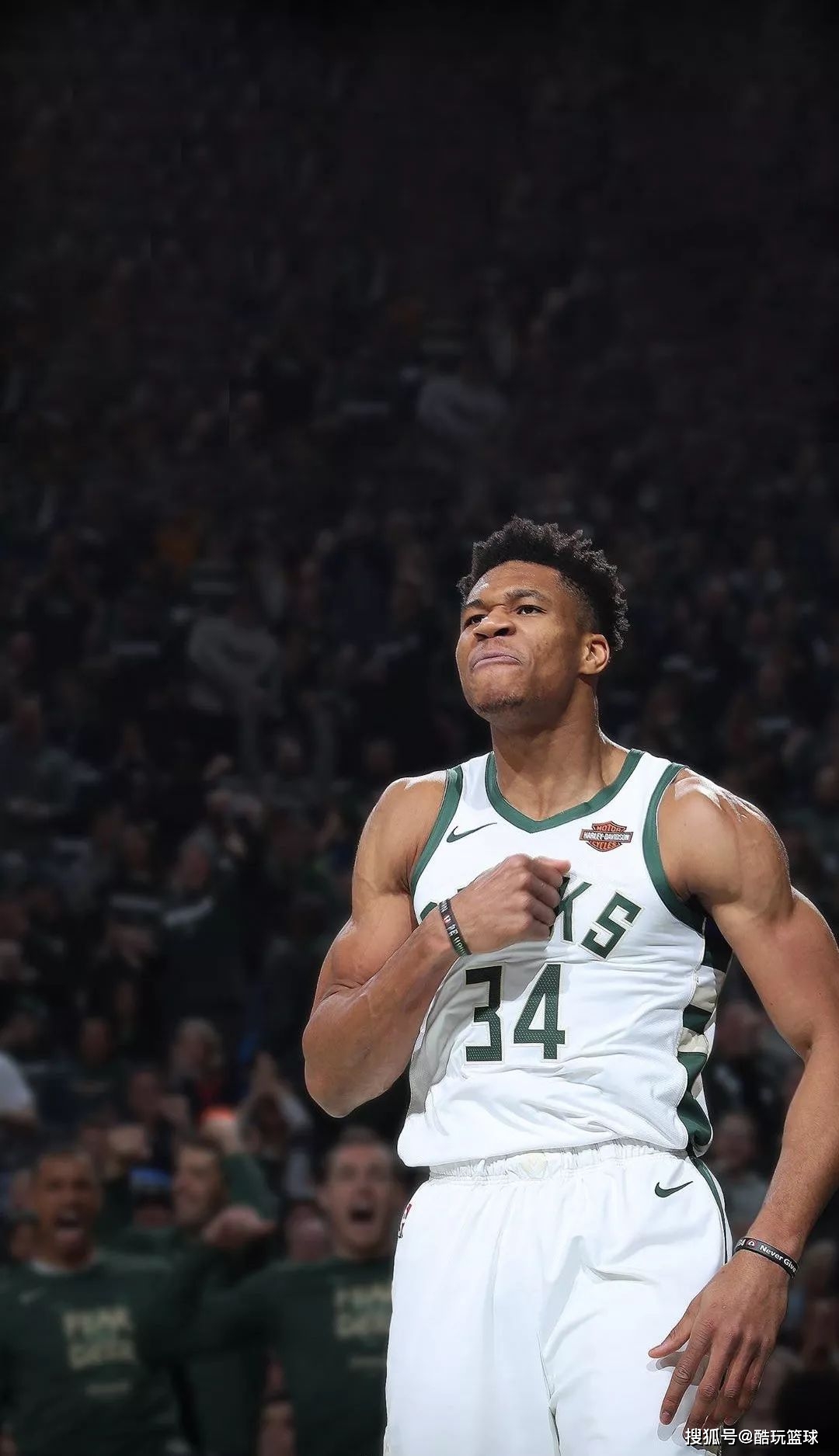 球迷文化与 球迷文化与